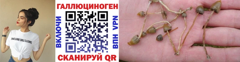 Галлюциногенные грибы GOLDEN TEACHER  купить наркоту  Чапаевск 